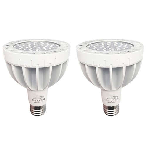 Lampadina led par30 - led,