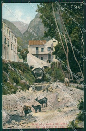 Salerno amalfi capre cartolina - capre,