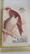 JOHN ALEC BAKER IL FALCO
