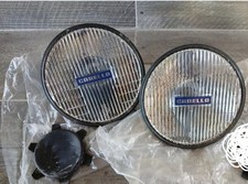 Coppia Fari Fendinebbia