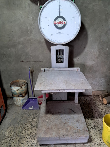 Bilancia professionale omega - bilancia,