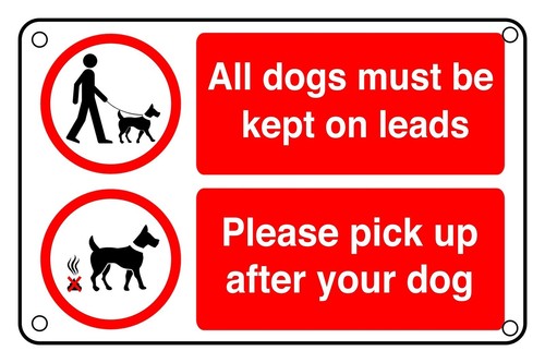 Tutti cani devono essere - tutti,