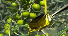 Olio oliva 1 gradi - olio,
