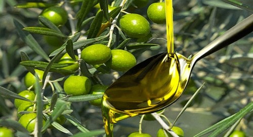 Olio oliva 1 gradi - oliva,,