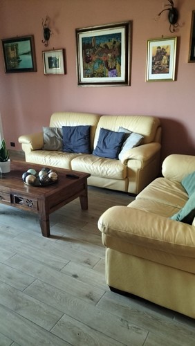 Coppia divani vera pelle - in,