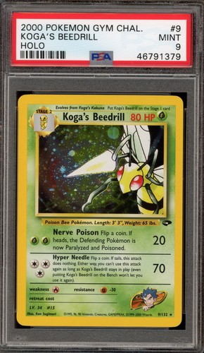 Pokemon koga beedrill gym - pokemon,