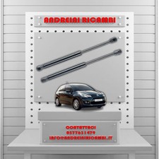 2 PISTONCINI BAGAGLIAIO