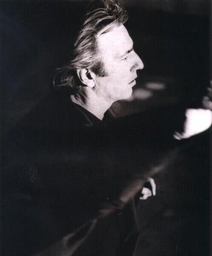 Alan rickman unsigned - 10", x