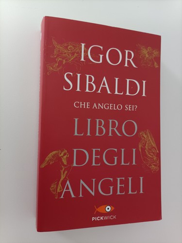 Libro degli angeli igor - -,
