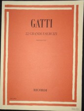 Gatti grandi esercizi per - gatti,