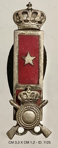 Regio esercito distintivo - esercito, di
