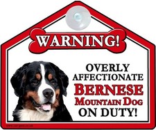 Regalo cane da montagna