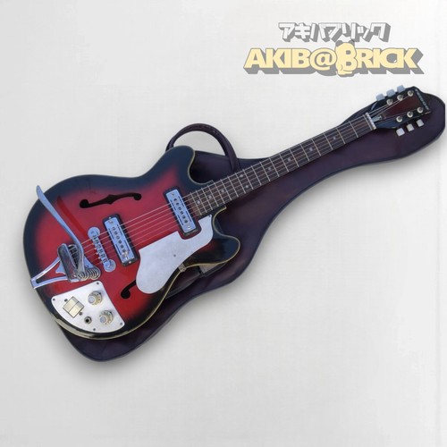 Chitarra acustica completa