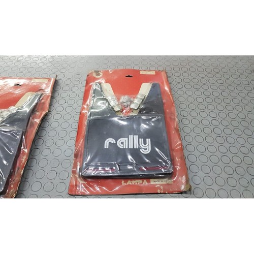Coppia paraspruzzi auto - coppia,