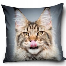 Federa per cuscino gatto Maine