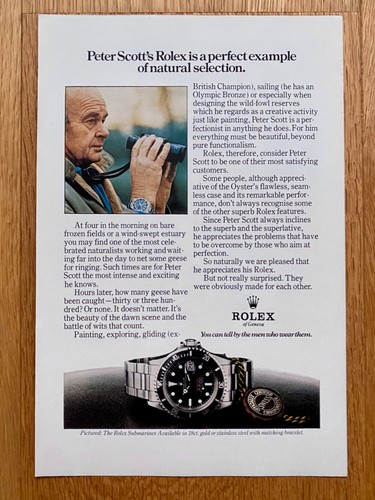 Rolex submariner 1680 - rolex, red