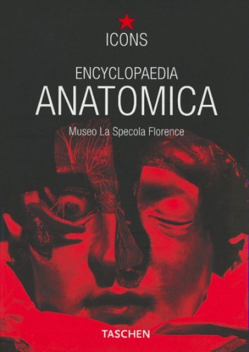 Encyclopaedia anatomica museo - encyclopaedia, anatomica: