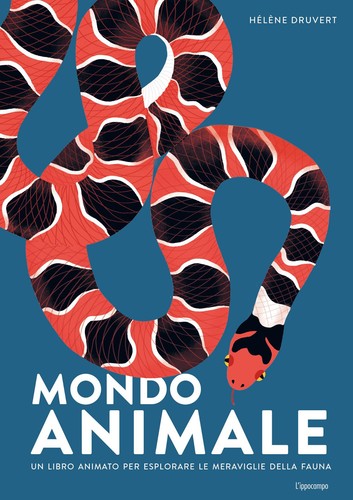 Mondo animale libro - mondo, animale.