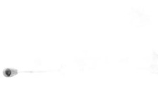 Cavo comando cambio per