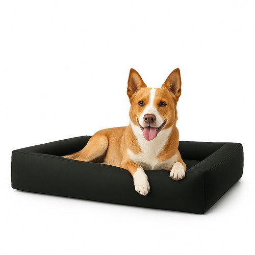 Cuccia ortopedica per cani - , in