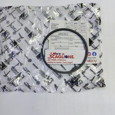 FASCIA (72X2,5) RASCHIAOLIO