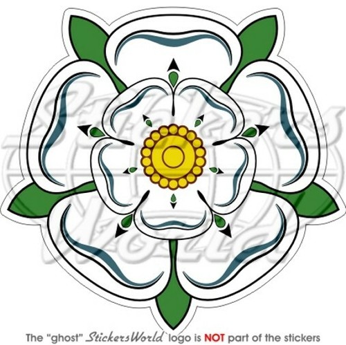 Yorkshire rosa bianca - rosa,