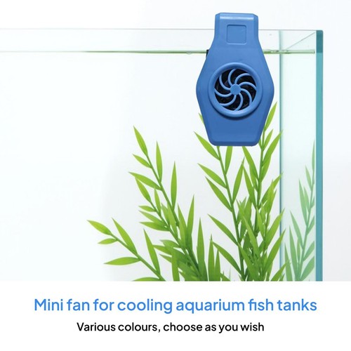 Acquario piccolo con