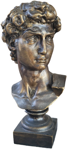 Testa bronzo david di - in,