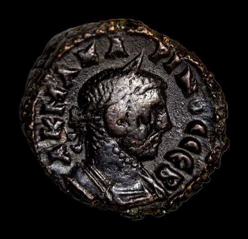 Egitto alessandria carinus - alessandria.,
