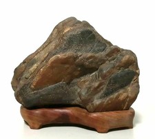 Suiseki Viewing Pietra