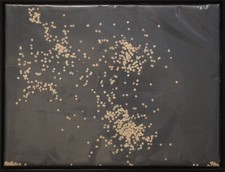 Tano festa, Coriandoli (1985)