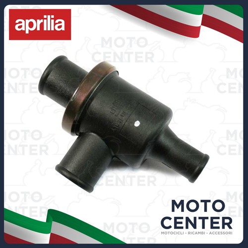 Gruppo valvola termostato - gruppo,
