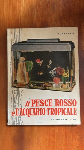 Pesce rosso l acquario - pesce,