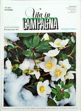 VITA IN CAMPAGNA - DICEMBRE