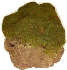 AcquarioH2o Roccia Decorativa