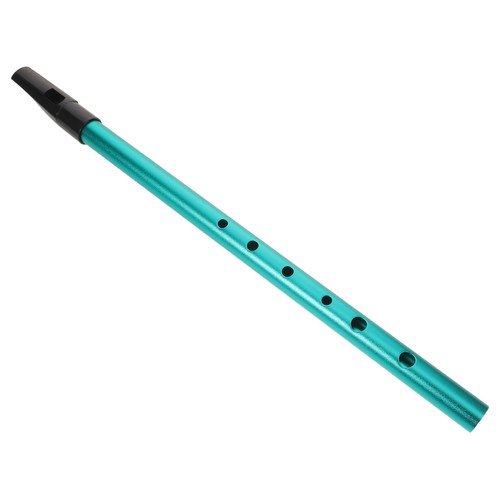 Flauto registratore bambini