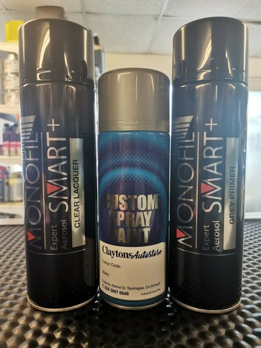 Vernice spray aerosol per audi - vernice,