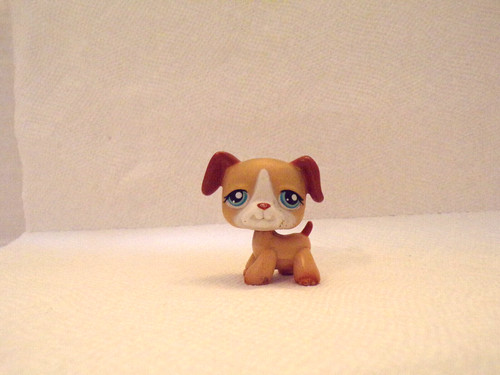 Littlest pet - littlest,