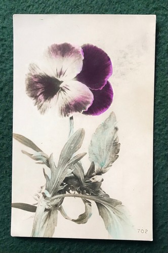 Cartolina fiori viola - cartolina,