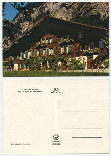 29689 chalet simmenthal - 29689,