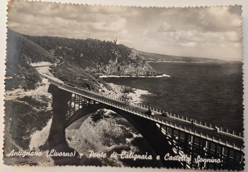 Cartolina antignano 1951 - cartolina,