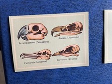 EDITRICE MODERNA VITA E COLORE