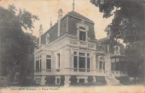 Mios villa freddy - freddy,