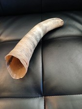 Corno di mucca/polvere. 