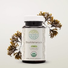 Herbera bladderwrack 120 - bladderwrack, 60/120