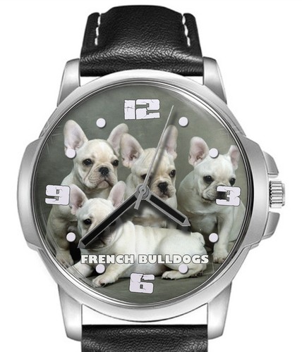 Orologio polso cuccioli - da,