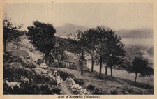 Verbania - Miazzina - Alpi d'Aureglio - fp vg 1937 - capre