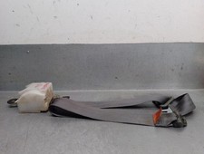 MN179679HA cintura di