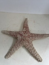 Decorazione da parete stella