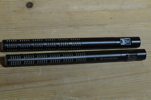 Sennheiser me66 con microfono - sennheiser,